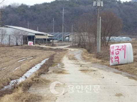 잠잠해진 구제역 전국 이동제한 해제