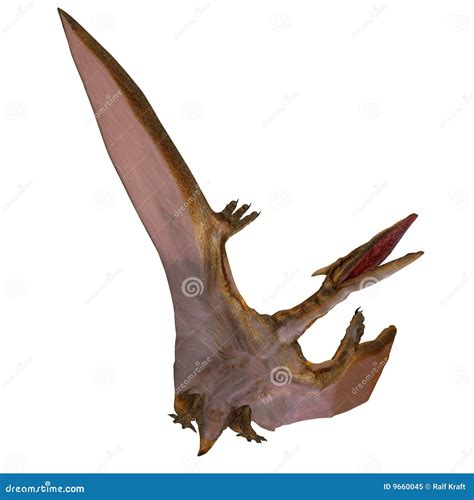 Quetzalcoatlus Flying Reptile With Font Stock Image