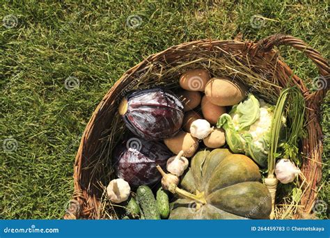 Diferentes Legumes Frescos Maduros No Cesto De Wickles Na Vista De Cima