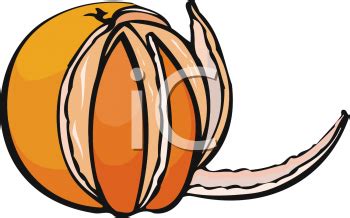 Orange peel clipart - Clipground