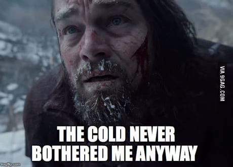 The Cold Never Bothered Me Anyway Meme Funny