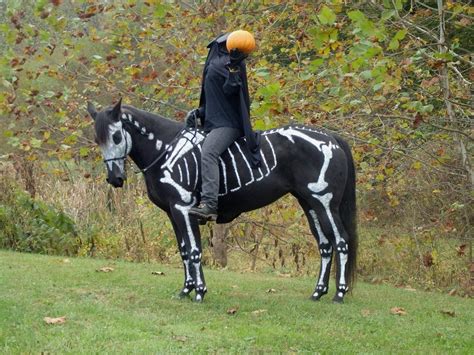 This Horse Wins Halloween » TwistedSifter