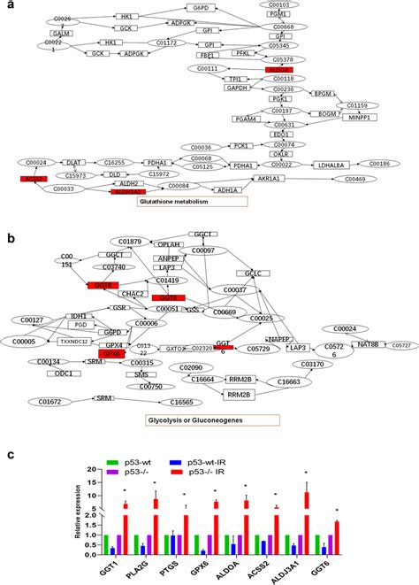 Integrated Transcriptomic And Metabolomic Analyses Of P53 Dependent