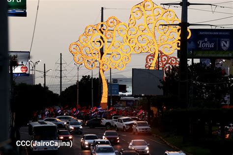 Más árboles De La Vida Serán Instalados En Managua Radio Nicaragua