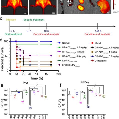 Antibacterial Activity Of Dp Ad7anti Acpp Against Esbls E Coli In The