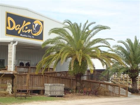 Dakin Dairy Farms Tour in Myakka City, Florida - Kid-friendly ...