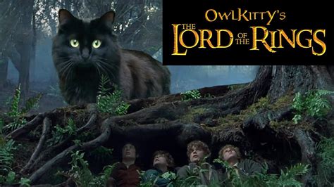 Lord Of The Rings Starring My Cat Owlkitty Youtube