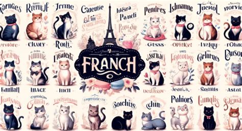 Le Chat Noir: A Guide to Enchanting French Cat Names - namingcat