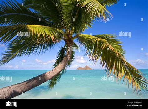 Mokulua Islands Lanikai Beach Kailua Oahu Hawaii Stock Photo - Alamy