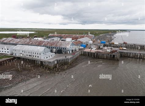 Old Cannery For Salmon Naknek Bristol Bay Alaska Stock Photo Alamy