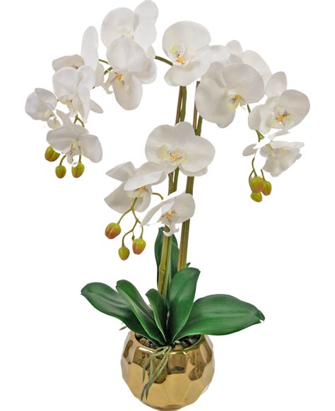 Orchidea Artificiale Cm Bianca In Vaso Dorato Easyplants