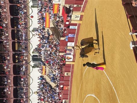 Malaga Bullfighting Tickets Official Malagueta Bullring Website