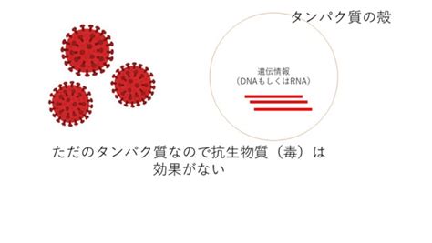 5分で分かるプチ科学06｜mbainternship