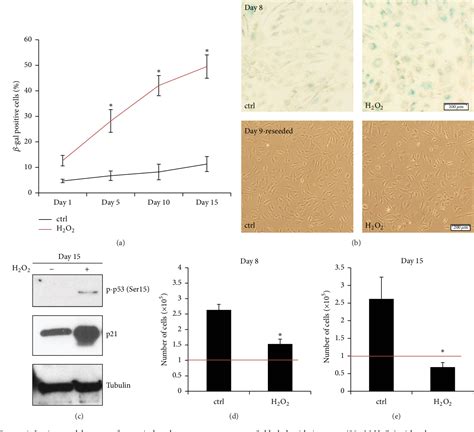 Figure 1 From The Natural Polyphenol Epigallocatechin Gallate Protects