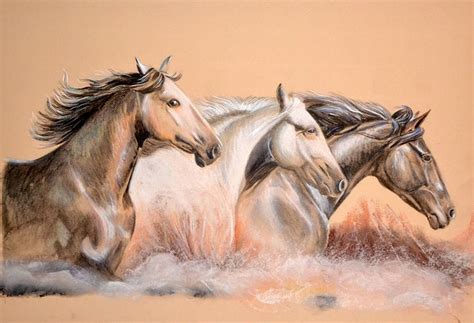 Dessin Chevaux De Camargue Au Crayon Aquarellable Et Pastel Sec