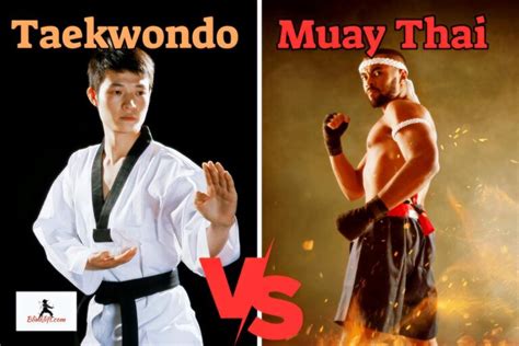 Muay Thai vs. Taekwondo – Which Is Better (Differences) - Blinklift