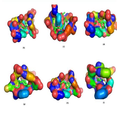 Molecular Docking Visualization Of The Interaction Of Glycidyl Oleate