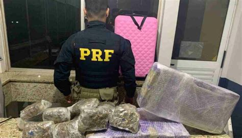 Mujer es detenida con marihuana y zorrillo en autobús de Foz a SP