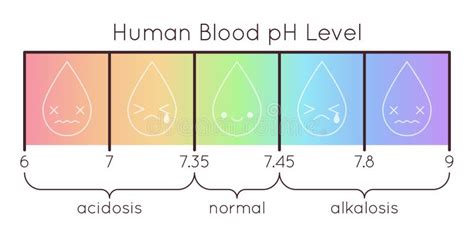 Blood PH Scale