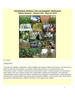 Bolet N N Del Movimiento Mundial Por Los Bosques Tropicales Wrm Pdf