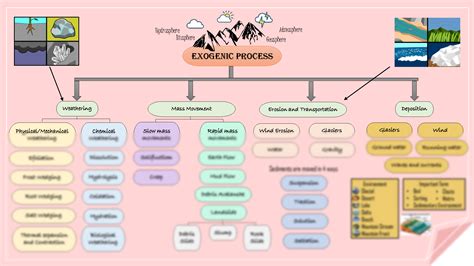 SOLUTION Exogenic Process Studypool