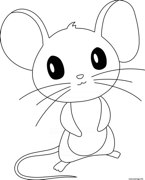 Coloriage Souris Imprimer Dans Les Coloriages Souris Dessin Imprimer