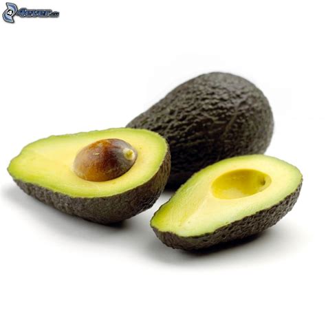 Avocado