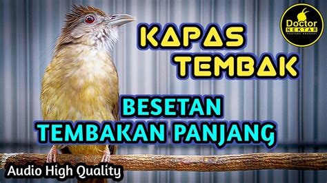 KAPAS TEMBAK MASTERAN IDOLA KATEM BESETAN DAN TEMBAKAN PANJANG COCOK