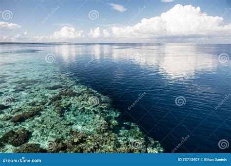 shallow reef  deep water drop  stock image image