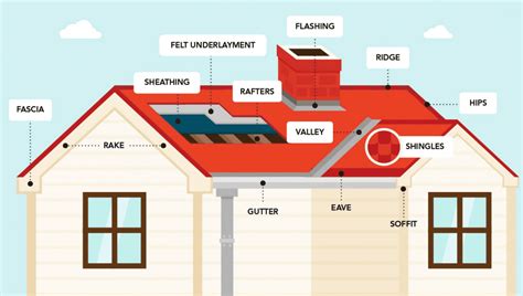 What Every Homeowner Should Know About Their Roof