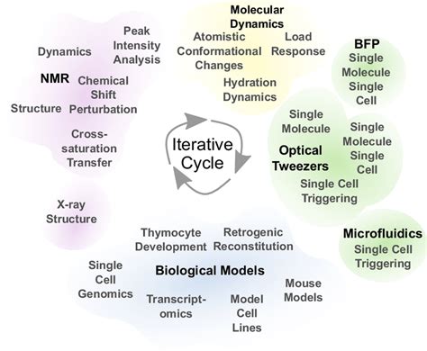 Integrative Structural Biology Utilizes An Iterative Cycle Of