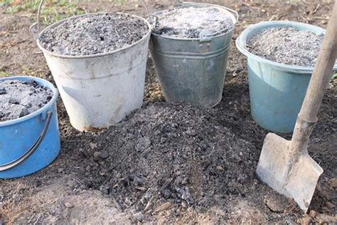 Comment Utiliser La Cendre De Bois Dans Le Jardin R Gles D Utilisation