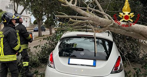 Albero Cade Su Un Auto Parcheggiata A Surbo