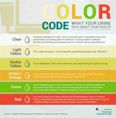 What Causes Your Urine To Turn Yellow at John Hoff blog