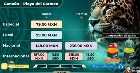 Desde 79 pesos es el costo del boleto del Tren Maya del tramo Cancún