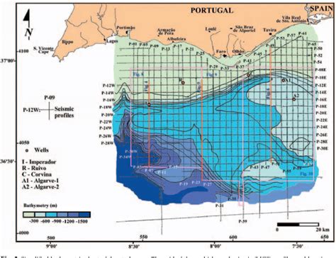 Pdf Tectonosedimentary Phases Of The Latest Cretaceous And Cenozoic