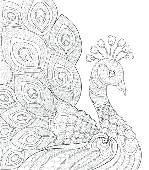 Adult Coloring Pages Peacock Coloring Pages