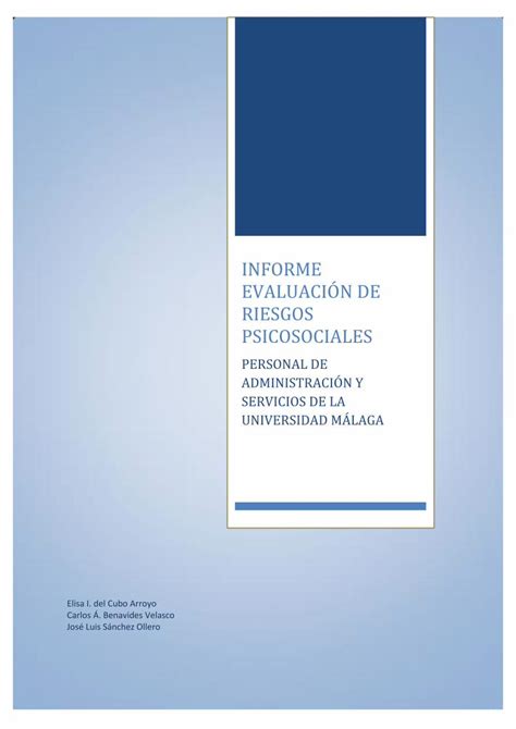 PDF INFORME EVALUACIÓN DE RIESGOS PDF fileINFORME EVALUACIÓN DE