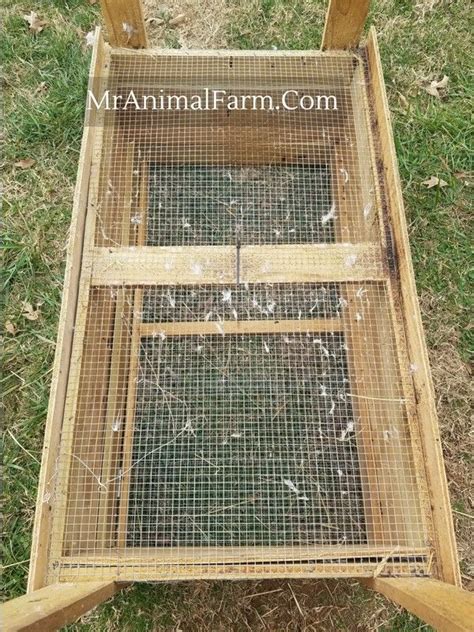 Chicken Brooder Easy Free Diy Chicken Brooder Plans Chicken