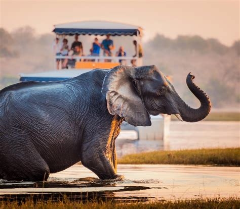 Botswana Adventure Tours - Journeys International