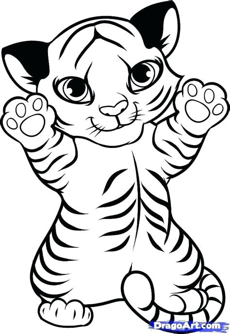 Tiger Line Drawing | Free download on ClipArtMag