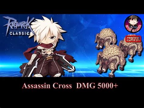 Live Ragnarok Ggt Classic Ep Assassin Cross Dmg