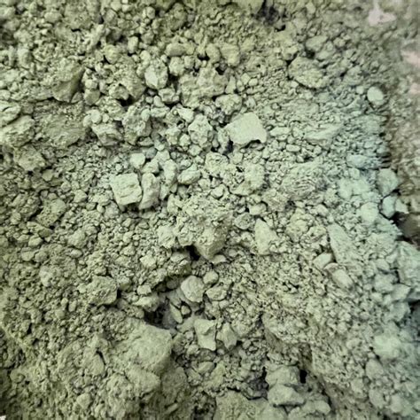 grams super white dazed dragons