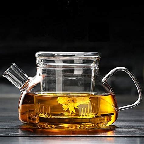 Cosy YcY Glass Teapot With Infuser Teapot With Strainer For Loose Tea