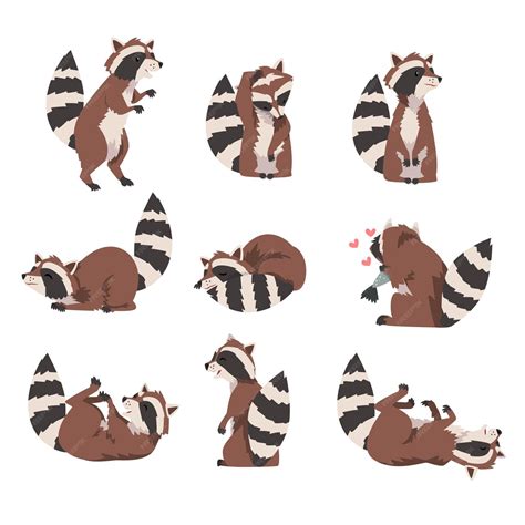 Premium Vector Cute Funny Raccoon Collection Lovely Wild Furry Forest