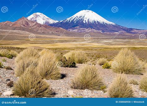 Parinacota And Pomerape Volcanoes In Chile Stock Photo | CartoonDealer ...