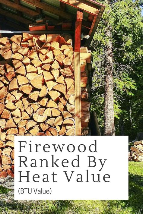 What Firewood Burns The Best A Fireplace Expert S Guide PatioList