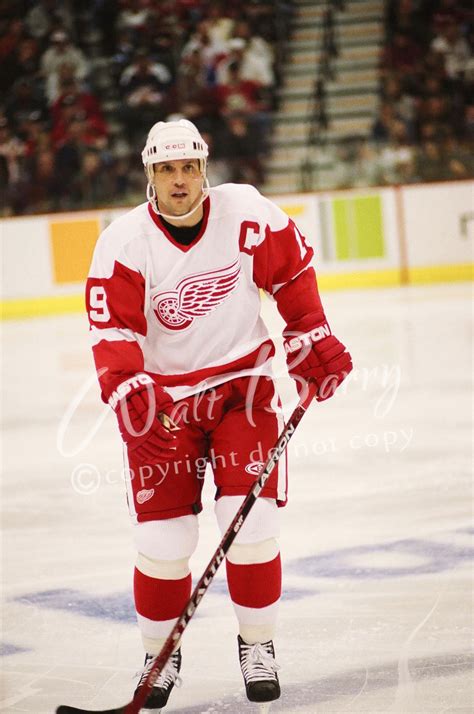 Steve Yzerman Detroit Red Wings Waltbarry Online Store Powered