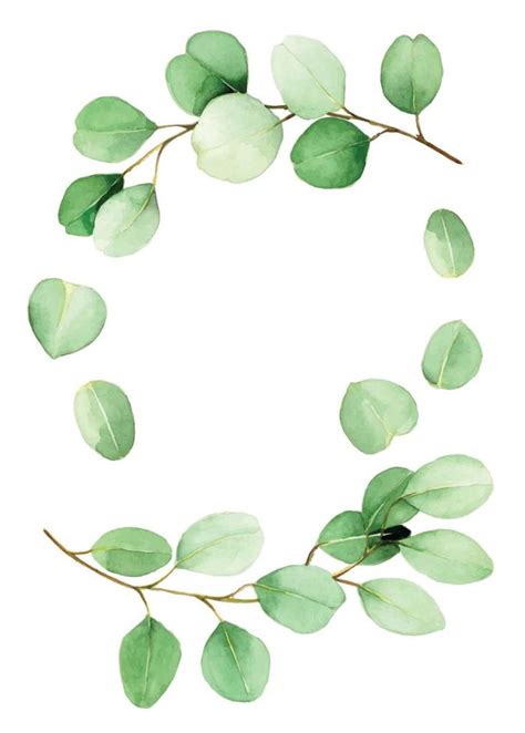 Watercolor Drawing Set Of Eucalyptus Leaves And Branches Vintage