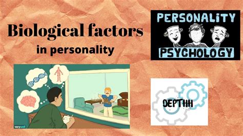 Effects Of Biological Factors In Personality Presentation Youtube